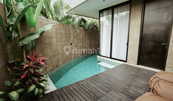 Brand New Two Bedroom Villa Inside Complex For Rent In Umalas 1