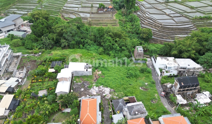 Leasehold Land, Canggu