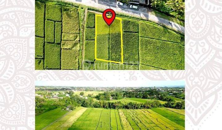 Prime Leasehold Land Opportunity In Kedungu, Bali 2