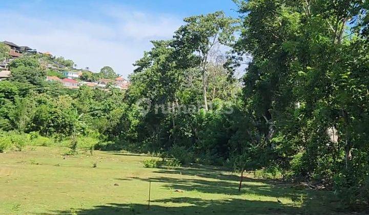  Prime Land In Bingin, Pecatu Bali 1