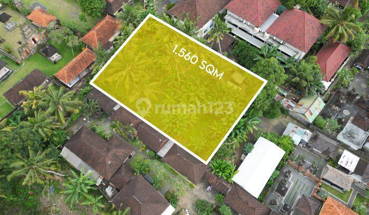  15.6 ARE SAYAN LAND FOR LEASE AT 4.5JT/ARE 1