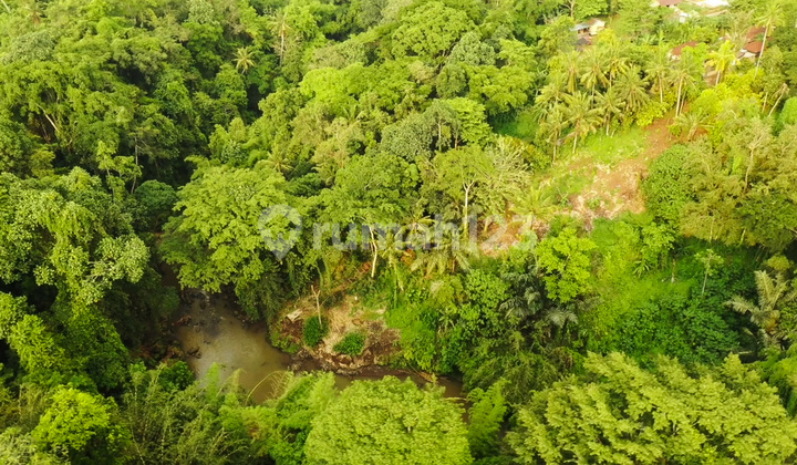 Premium River Front Landplot for Lease in Buwit