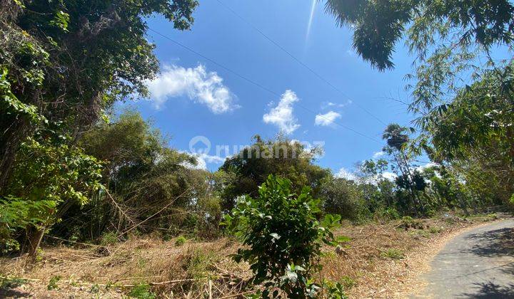 Freehold Land With Very Good Villas Surrounding For Sale In Nusadua 2