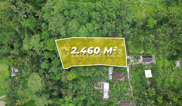 Rare Opportunity: Freehold Sidan Ubud Land With Scenic River View Rare Opportunity: Freehold Sidan Ubud Land With Scenic River View
