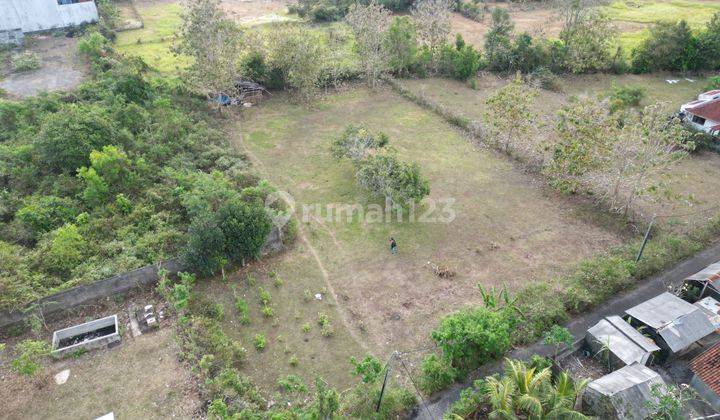 Large plot land with best view surrounding for lease in Goa Gong 1