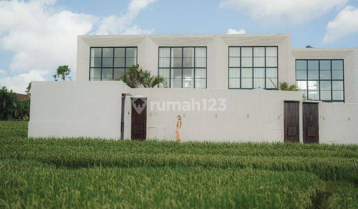 Luxury Greenery style 2 Bedroom Private Villa In Berawa 1