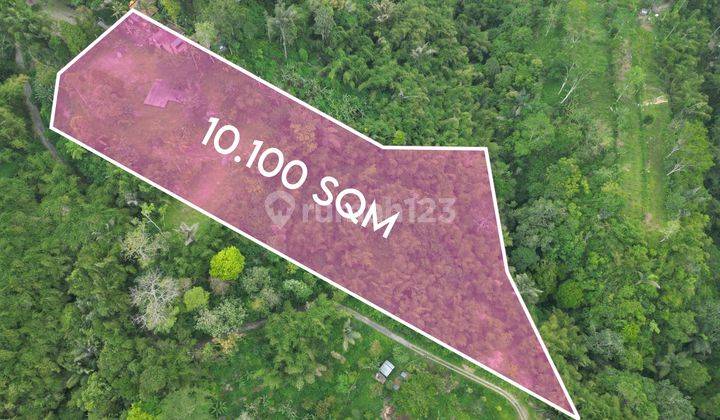 Land For Sale With Amazing View 101 Are In Ubud 1