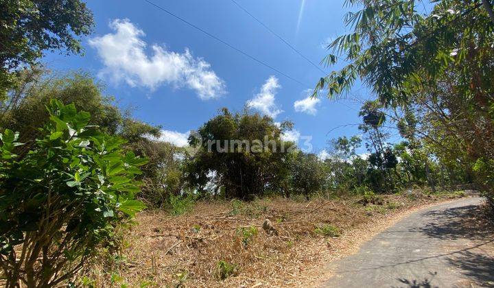 Freehold Land With Very Good Villas Surrounding For Sale In Nusadua 1