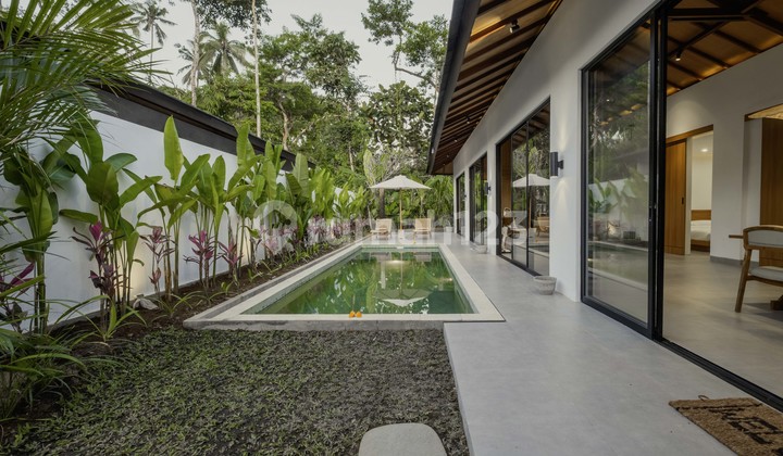 Villa Dua Kamar Tidur Mendatang dengan Pemandangan Hutan yang Tenang untuk Disewa di Ubud