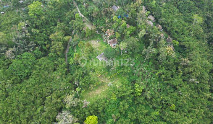 Land For Sale With Amazing View 101 Are In Ubud 2