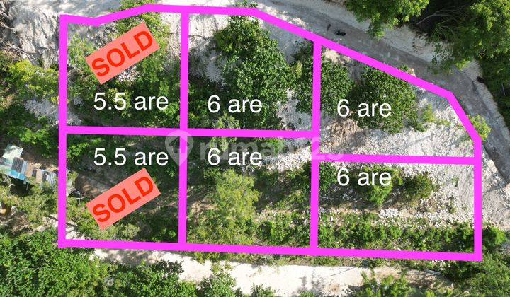 11 Are Cliff Land With Amazing Surrounding View For Lease In Pecatu 11 Are Cliff Land With Amazing Surrounding View For Lease In Pecatu