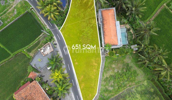 Unique Land Plot With Ricefields View Surrounding For Sale In Ubud 1