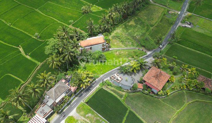 Unique Land Plot With Ricefields View Surrounding For Sale In Ubud 2