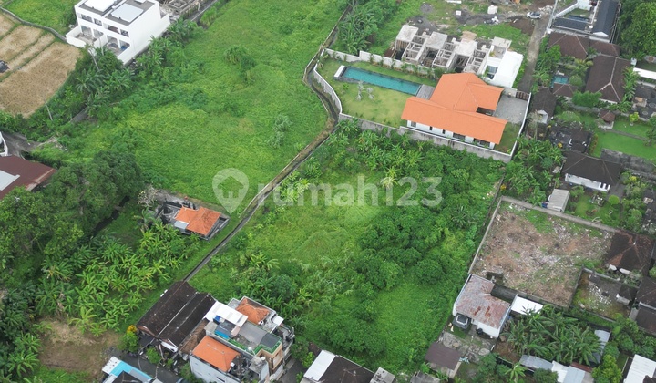 Tanah Kavling dengan Berbagai Ukuran di Lokasi Tenang untuk Disewakan di Buduk