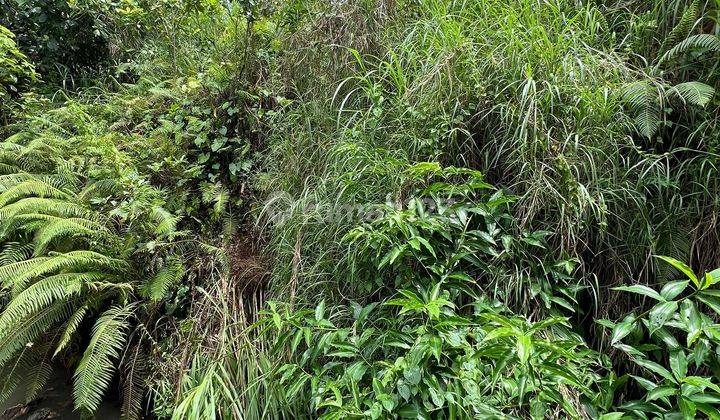 Small Plot Land With Peaceful Area Surrounding For Lease In Ubud 2