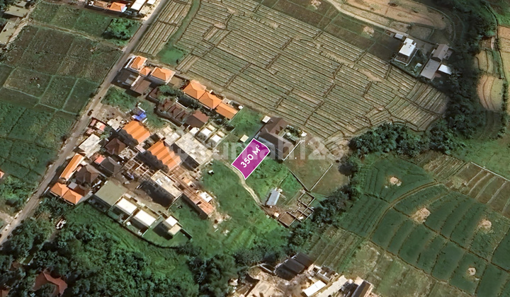 Small Plot Land Located In Strategic Area Perfect For Premium Villa For Lease In Seseh