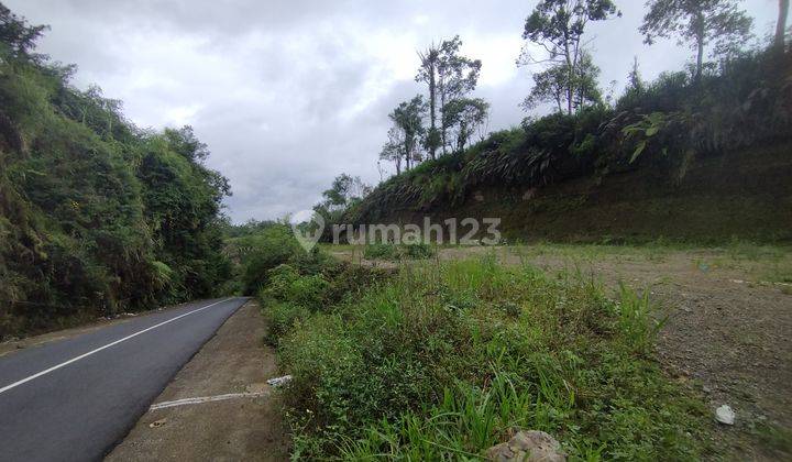 Very Rare Opportunity Eighteen Are Land In Perfect For Villa For Sale In Kintamani 2