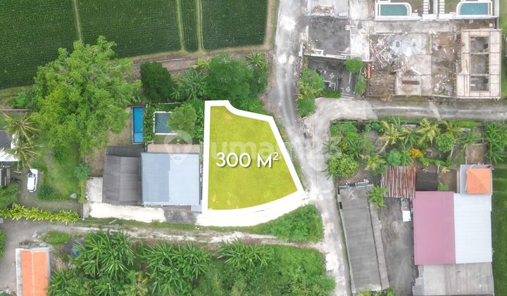 Tanah Kecil Ideal untuk Pembangunan Villa dengan Lingkungan yang Tenang dan Damai Disewakan di Beraban Tanah Kecil Ideal untuk Pembangunan Villa dengan Lingkungan yang Tenang dan Damai Disewakan di Beraban