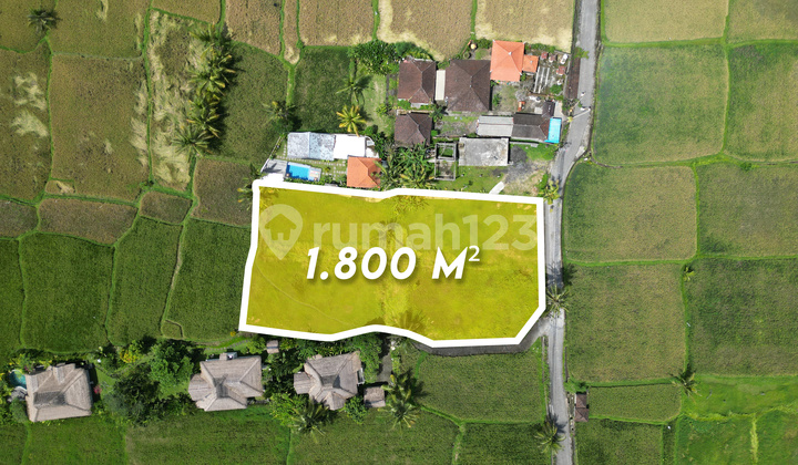 Square Shape Land For Lease In Peaceful Area Of Pejeng Ubud