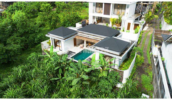 Tropical Two Bedroom With Direct Jungle View For Lease In Tumbak 2