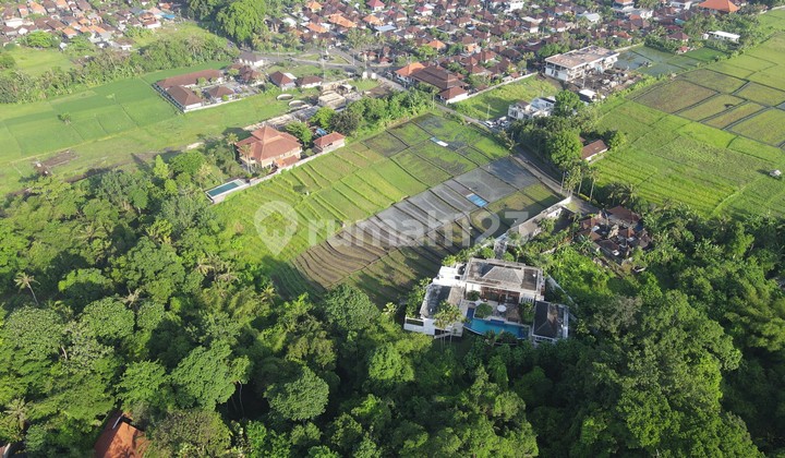 Tanah Potensial Ideal untuk Pengembangan Proyek Sewa di Buwit