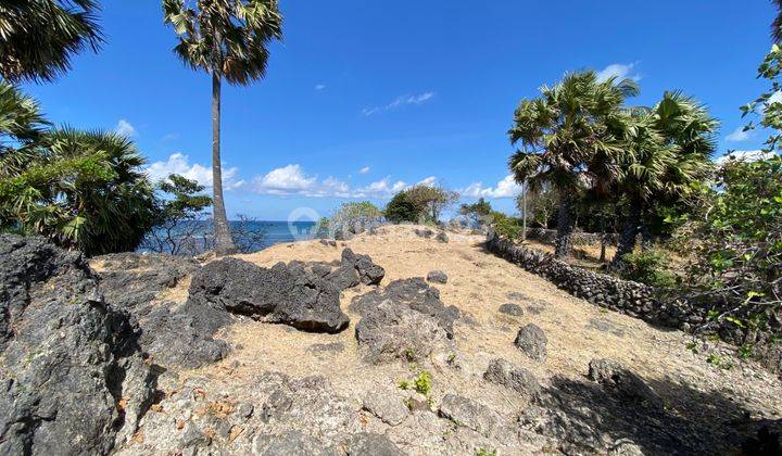 Rote Island Wonderful Beachfront Land Opportunity 2