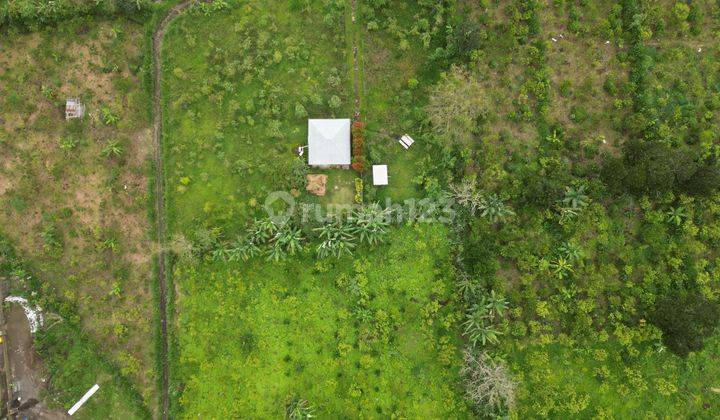 Large Land Plot With Peaceful Surrounding And Perfect For Villa Location For Sale In Kintamani 2