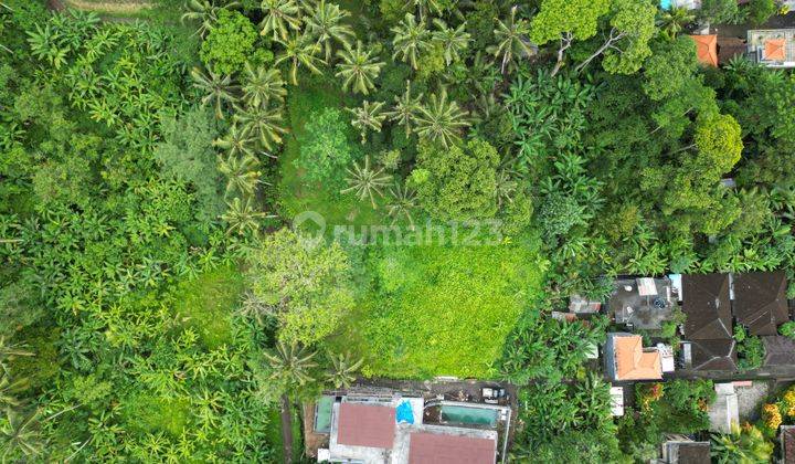  Rare Opportunity Nine Are Land With Peacefull Surrounding For Lease In Ubud 2