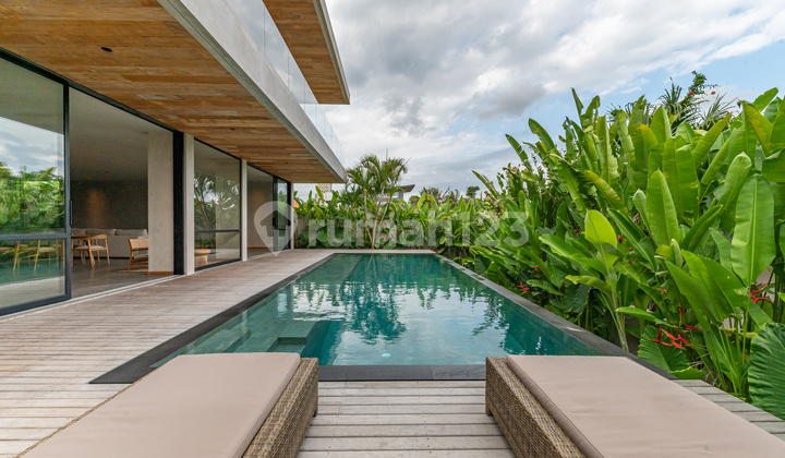 Spacious Industrial Style Villa for Lease in Tiying Tutul Spacious Industrial Style Villa for Lease in Tiying Tutul