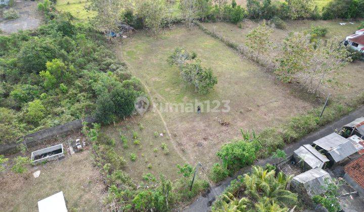 Large plot land with best view surrounding for lease in Goa Gong 2