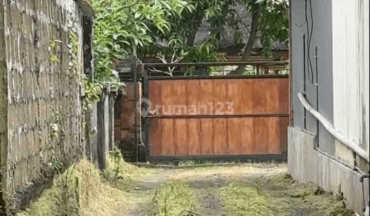 For Sale 15.6 Are Land In Sayan, Ubud 2