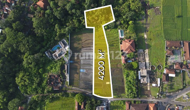 Tanah Potensial Ideal untuk Pengembangan Proyek Sewa di Buwit