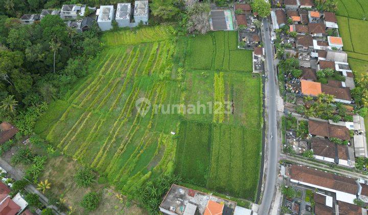 Large Pink Zone Land With Very Close Distance To Nyanyi Beach For Sale In Kedungu 2