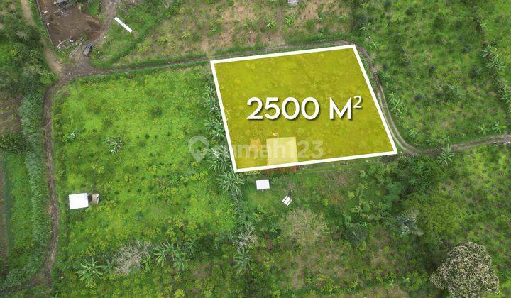 Large Land Plot With Peaceful Surrounding And Perfect For Villa Location For Sale In Kintamani 1