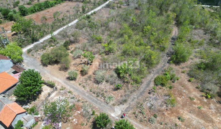 Square Plot Land Peaceful Area Surrounding With Seaview For Sale In Ungasan 2