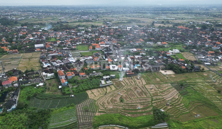 Tanah Peluang Unik dengan Pemandangan Sawah Langsung untuk Disewa di Buduk