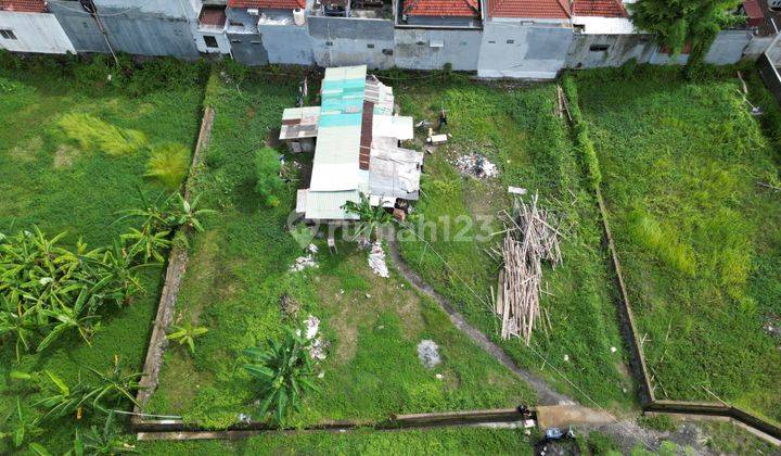 Landplot With Ricefields Surrounding In Strategic Area For Lease In Kerobokan 2