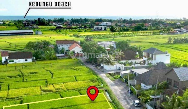 Prime Leasehold Land Opportunity In Kedungu, Bali 1