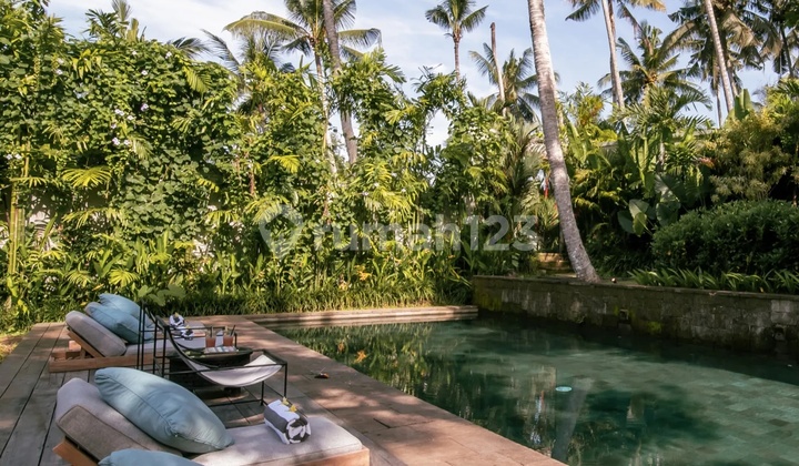 Luxurious Resort with Amazing Views Surrounding for Lease in Bedulu Ubud