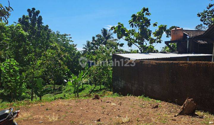 SEBIDANG TANAH NON PERTANIAN ISTIMEWA 1