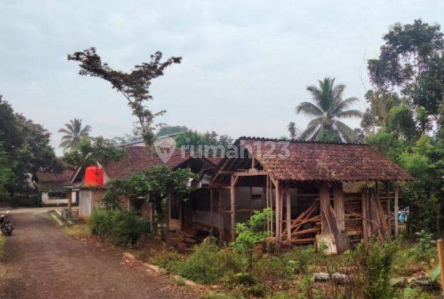 SEBIDANG TANAH DATAR DEKAT JALAN UTAMA  2