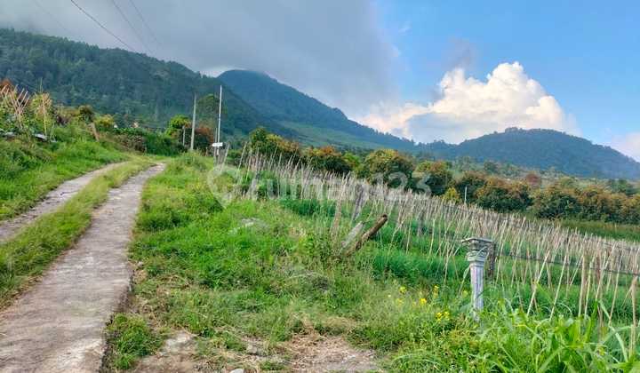 Tanah View Bagus ±3250m2 Harga 1 Jt/m Nego 1