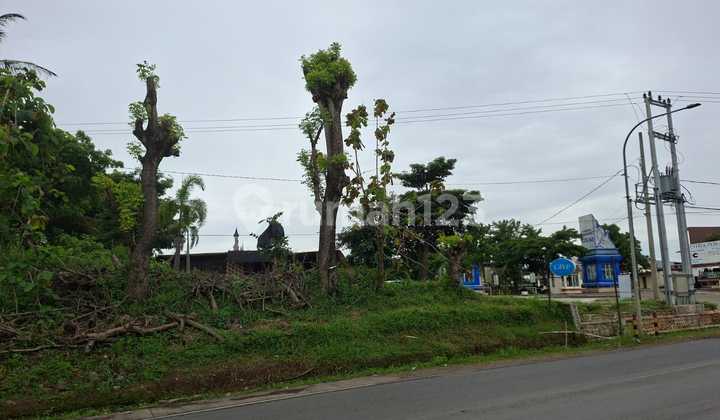 Land in Cikao Park, Parakanlima, Jatiluhur, Purwakarta, West Java, Indonesia, 41152, Purwakarta 1500.0 M² SHM Land in Cikao Park, Parakanlima, Jatiluhur, Purwakarta, West Java, Indonesia, 41152, Purwakarta 1500.0 M² SHM