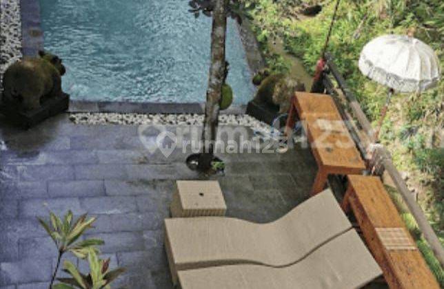 VILLA UBUD GIANYAR VIEW KEREN  LGS KE JUNGLE COCOK UNTUK INVESTASI 1