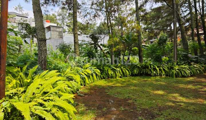  Investasi. Murah Tanah Digeger Kalong Bagus Buat Invest