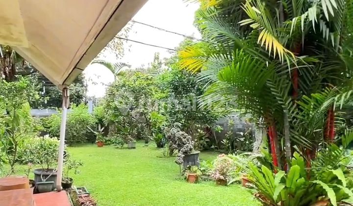 Flood Free, House, Freehold Title, 1