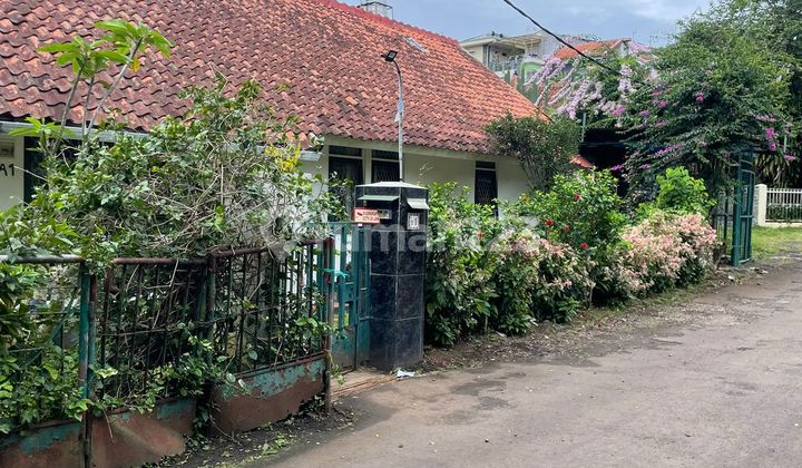 Flood Free, House, Freehold Title, 2