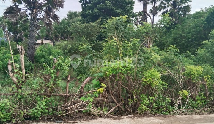 DI JUAL TANAH LOKASI STRATEGIS AREA PENFUI TIMUR KABUPATEN KUPANG NTT DI JUAL TANAH LOKASI STRATEGIS AREA PENFUI TIMUR KABUPATEN KUPANG NTT