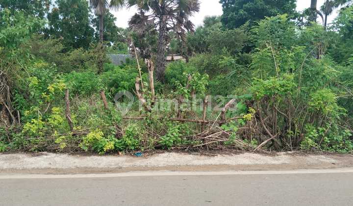 DI JUAL TANAH LOKASI STRATEGIS COCOK UNTUK BISNIS AREA PENFUI TIMUR KOTA KUPANG NTT 2