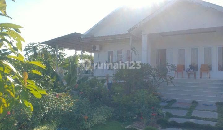 Di Jual Rumah Dengan Halaman Super Luas Lokasi Depan Kantor Klasis Kupang Tengah Kab Kupang Ntt 2